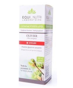 Olivier bourgeon (Olea europaea) BIO, 30 ml