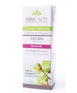 Fig tree (Ficus Carica) bud BIO, 30 ml