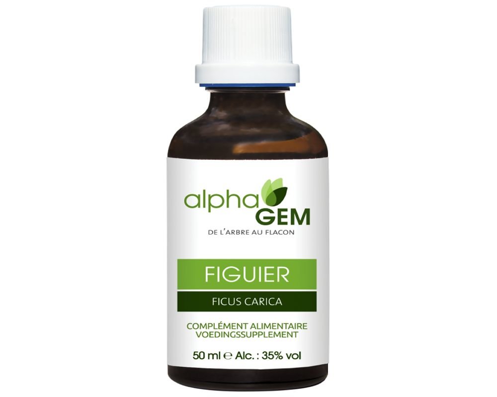 Bourgeon de figuier - Bio - Alphagem - 50 ml