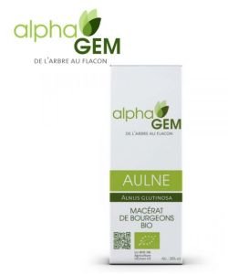 Aulne (Alnus glutinosa) bourgeon unitaire BIO, 50 ml