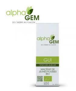 Gui (Viscum album) bud BIO, 50 ml