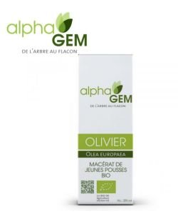 Olivier (Olea europaea) bourgeon BIO, 50 ml