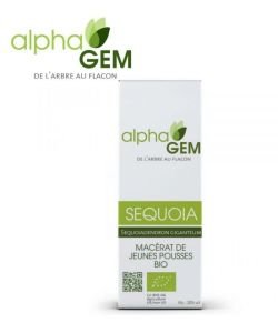 Séquoia (Sequoiadendron gigenteum) bourgeon BIO, 50 ml