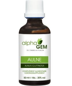 Aulne (Alnus glutinosa) bourgeon unitaire BIO, 15 ml