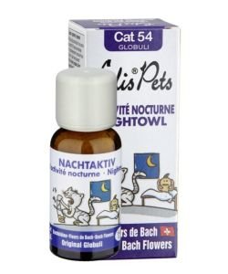 The night activity - Cat 54 Globuli