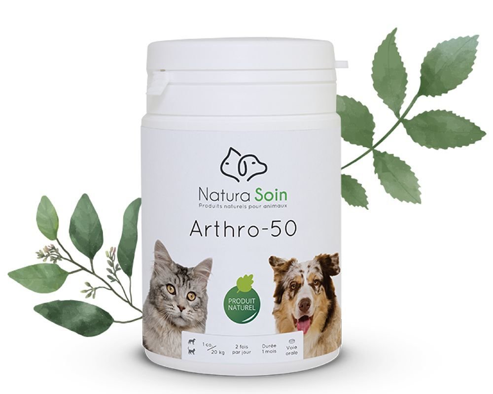 Bach Flowers For Arthritis Home Alqu