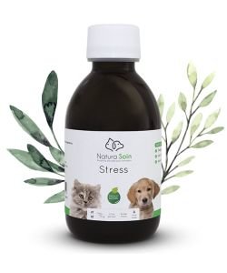 Stress