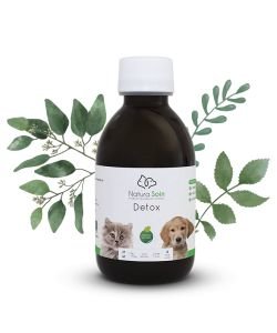 Detox, 200 ml