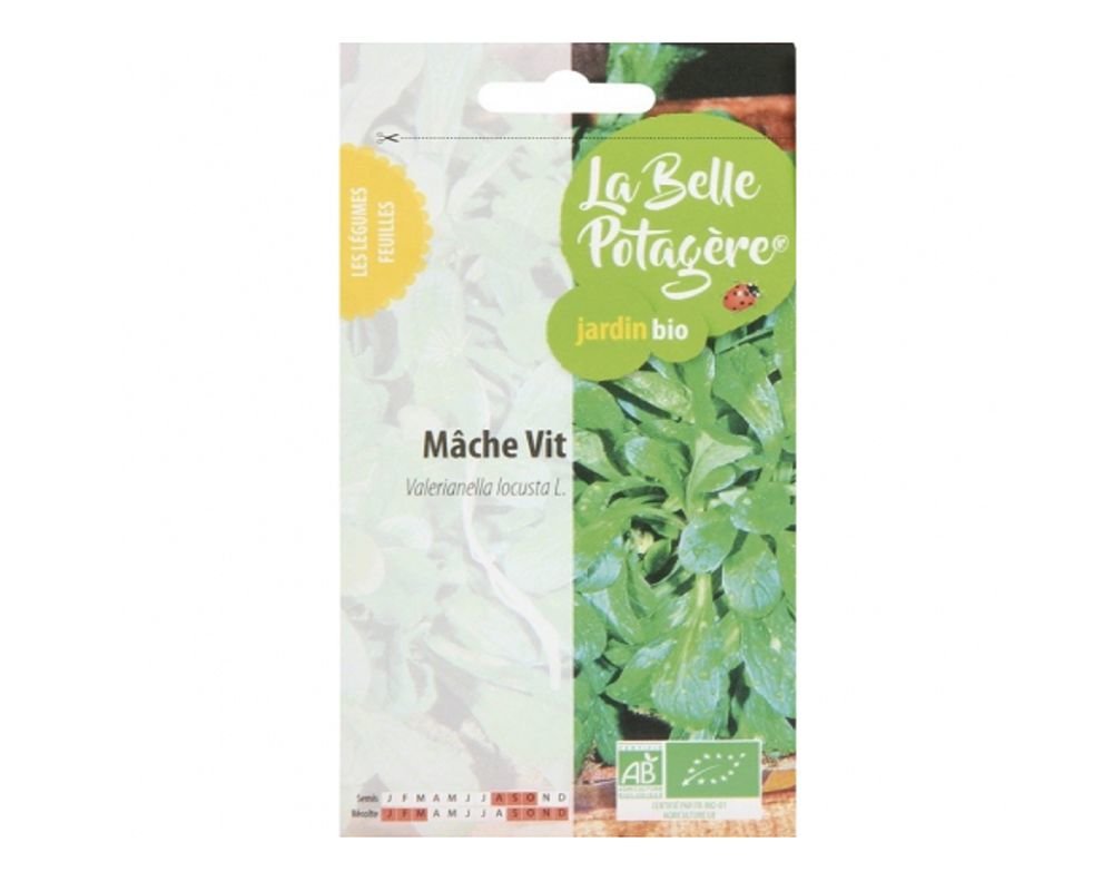 Graines De MÂCHE VIT Bio - Sachet 3g - Les Graines Bocquet - Légumes Feuilles - 2