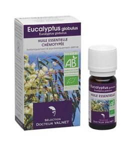 Eucalyptus globuleux BIO, 10 ml