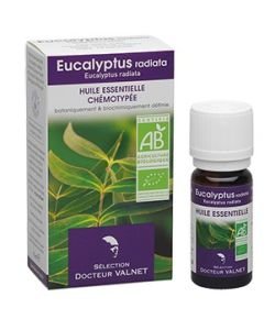 Eucalyptus radié - Huile essentielle chémotypée BIO, 10 ml