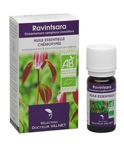 Ravintsara BIO, 10 ml