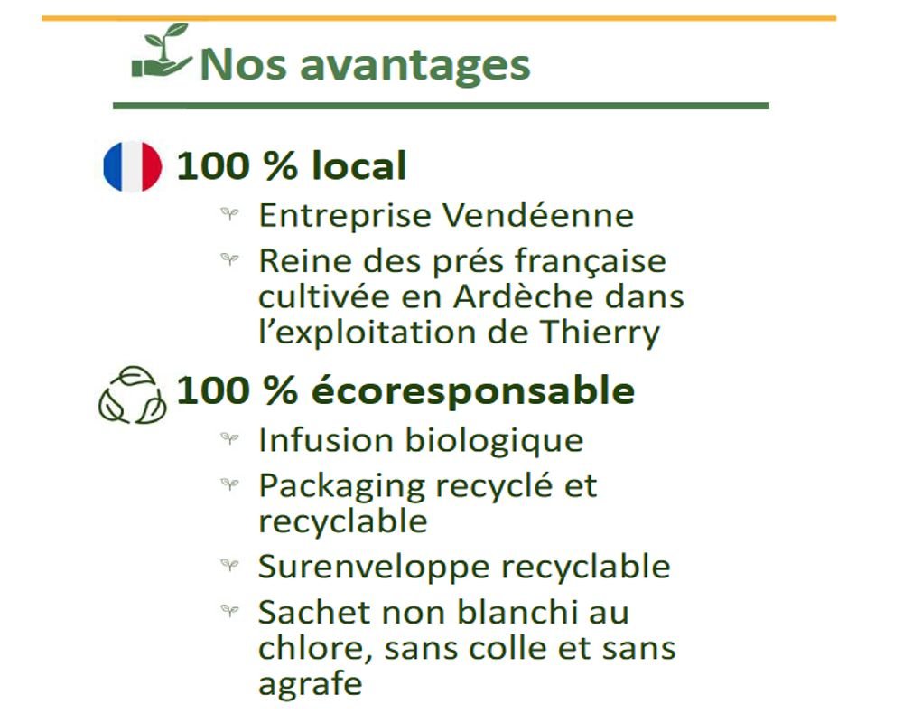 Infusion Coup de boost - bio Conseils - 20 sachets