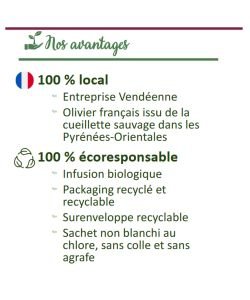 Infusion Tentation sucre - Emballage abîmé BIO, 20 sachets