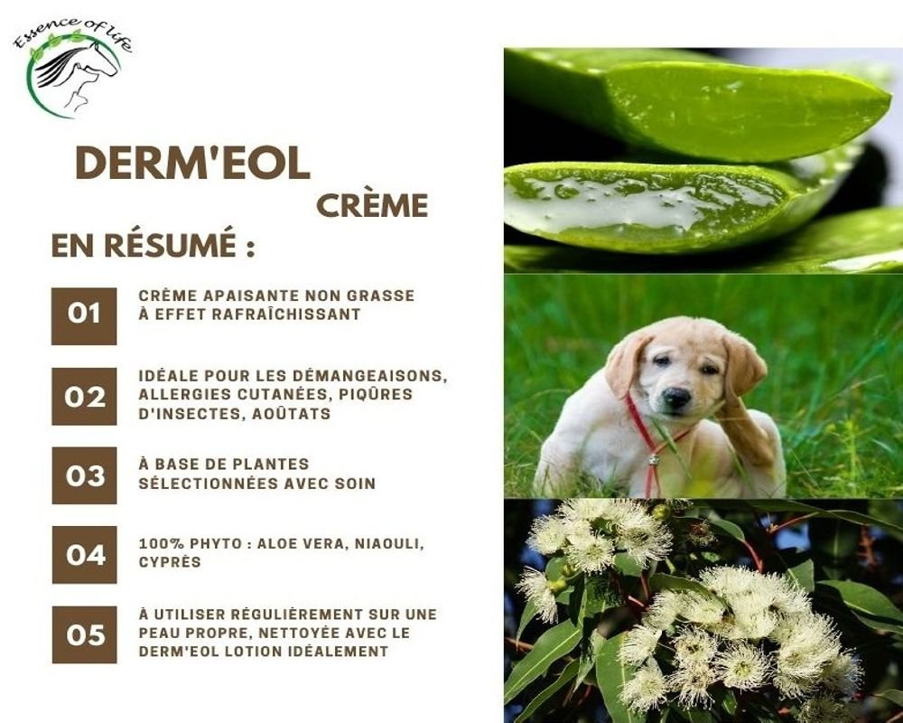 Peticare Pommade Plaies Chez Cheval, Chien, Chat, Petits Animaux