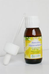 Aesculus Hippocastanum (marron d'Inde) BIO, pièce