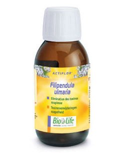 Filipendula ulmaria (meadowsweet) BIO, 60 ml