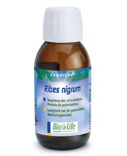 Blackcurrant (Ribes nigrum) buds BIO, 60 ml