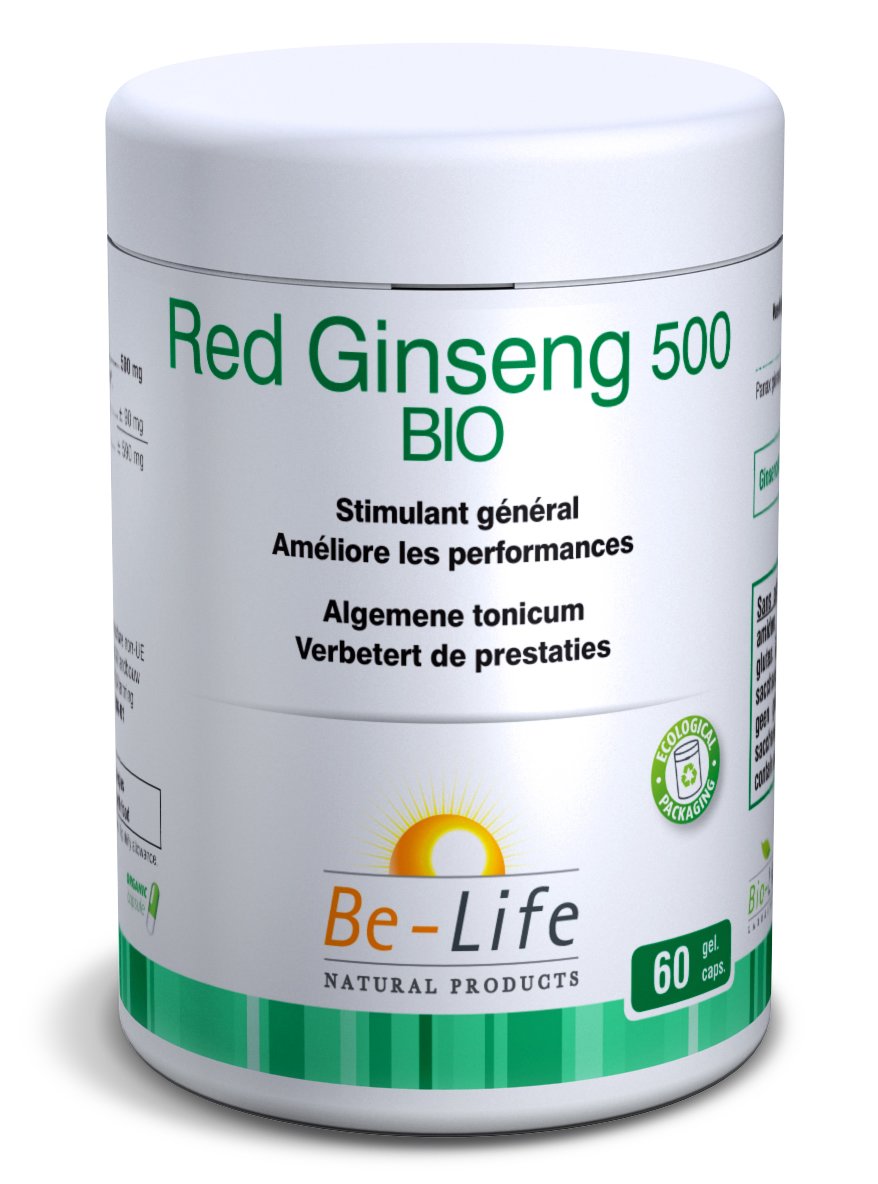 premium red ginseng
