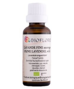 Lavande fine sauvage (Lavandula angustifolia) BIO, 30 ml