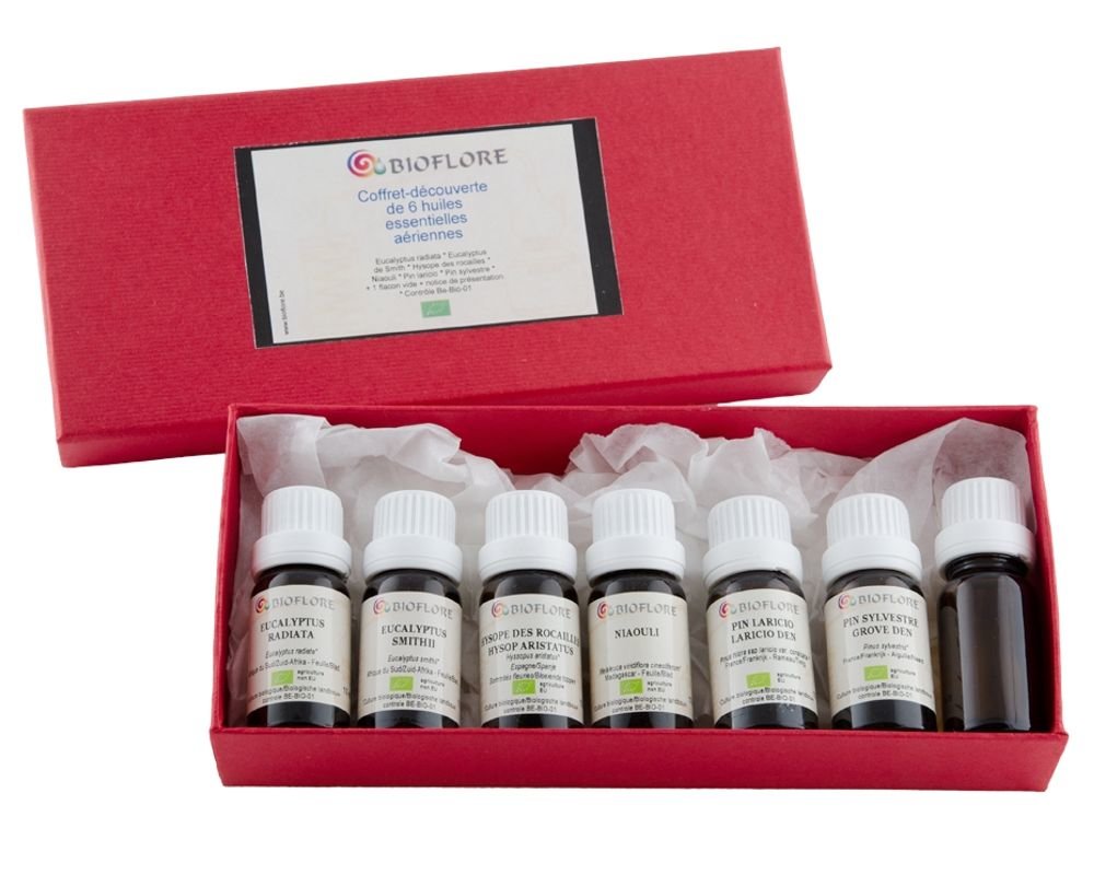 Kit 6 Huiles Essentielles Aromathérapie - Fraîcheur Et Bien-être Au Quotidien