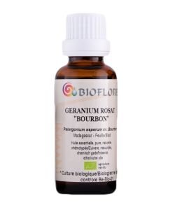 Geranium Rosat 'bourbon' (Pelargonium asperum) BIO