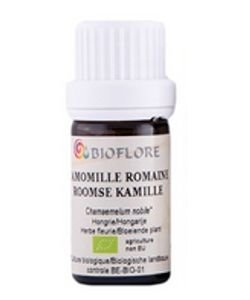 Camomille Romaine (Chamaemelum nobile)