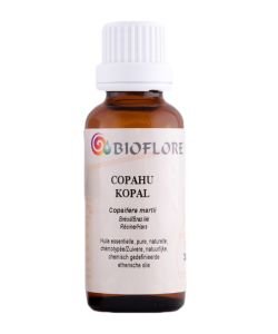 Copahier ou Baume de Copahu (Copaifera officinalis), 30 ml