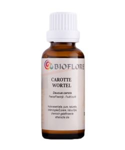 Carotte (Daucus carota var. sativus), 30 ml