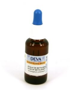 Star of Bethlehem (Ornithogalum umbellatum) BIO, 30 ml
