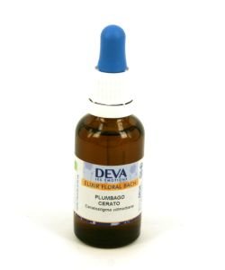 Plumbago (Ceratostigma villmottiana) BIO, 30&nbsp;ml