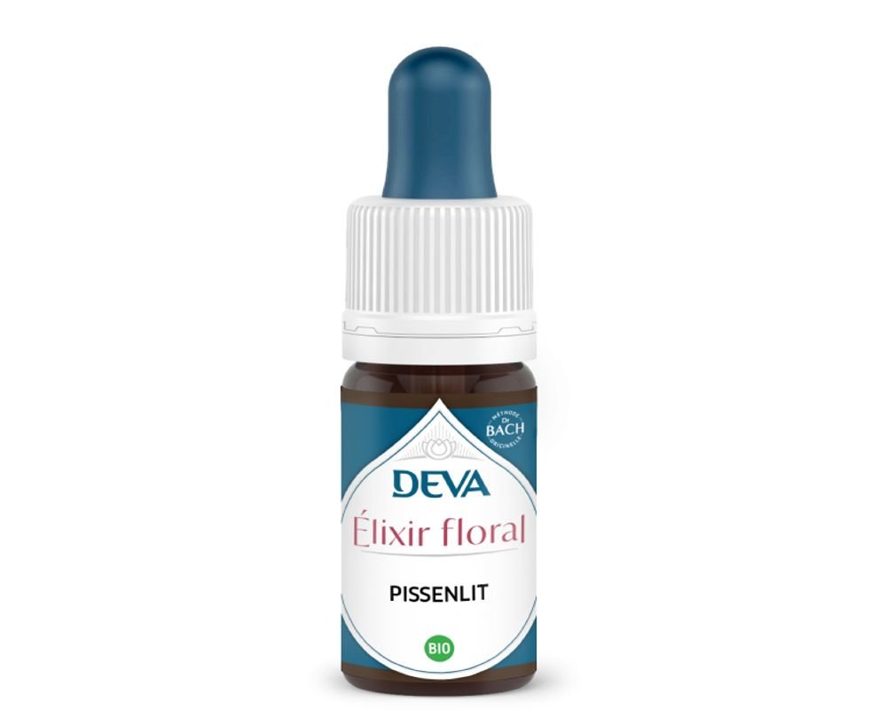 Dandelion Flower Essence Bach Best Flower Site