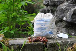 Noix de lavage, 500 g