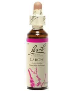 Larch (n°19), 20 ml