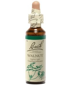 Walnut (n°33), 20 ml