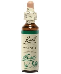 Noyer - Walnut (n°33), 20 ml