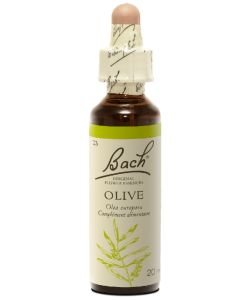 Olivier - Olive (n°23), 20 ml