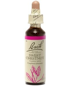 Sweet Chestnut (n°30), 20 ml