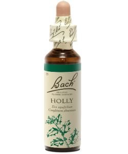 Houx - Holly (n°15), 20 ml