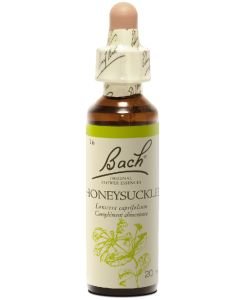 Chèvrefeuille - Honeysuckle (n°16), 20 ml