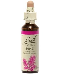 Pine (n°24), 20 ml