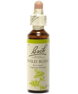 Wild Rose (n°37), 20 ml