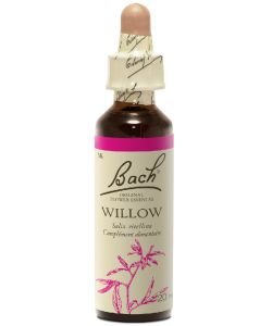 Saule - Willow (n°38), 20 ml