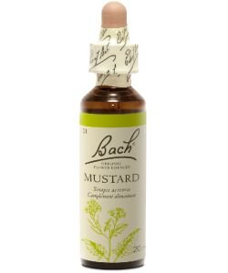 Moutarde - Mustard (n°21), 20 ml