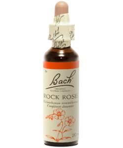 Hélianthème - Rock Rose (n°26), 20 ml