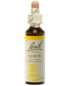 Ajonc - Gorse (n°13), 20 ml