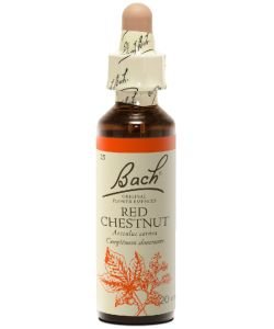 Red Chestnut (n°25), 20 ml