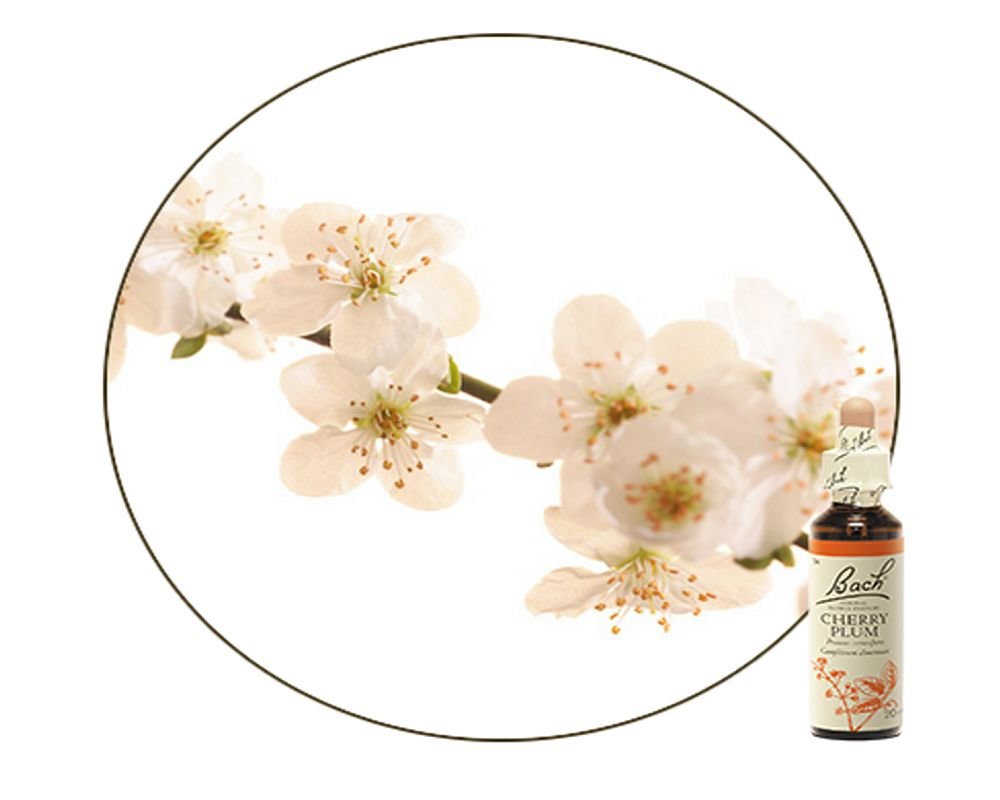 Prunus - Fleurs de Bach - 15 ml - Herbiolys