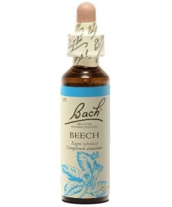 Hêtre - Beech (n°3), 20 ml