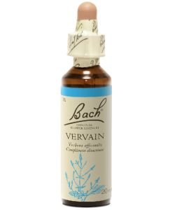 Vervain (n°31), 20 ml